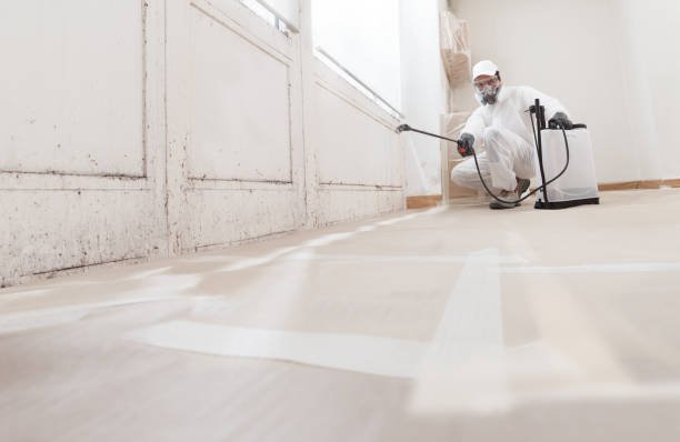 24/7 Emergency Mold Removal experts in Niles, IL